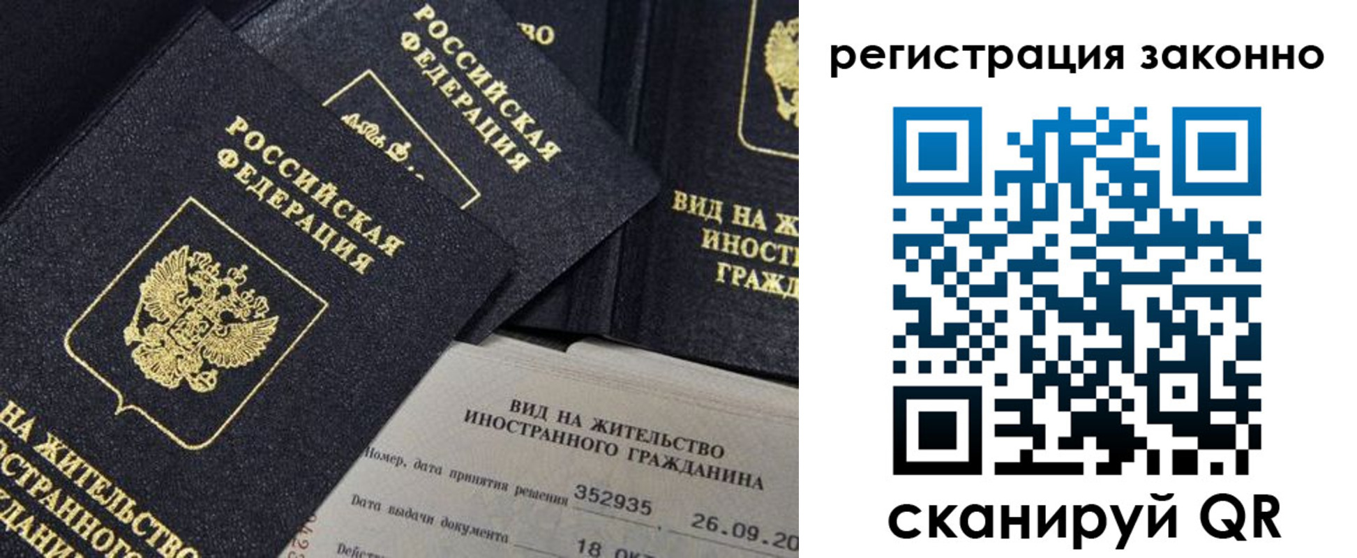 прописка поиск в Котово